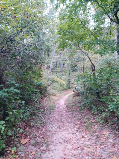 Timber Creek Pond - Blackwood, NJ