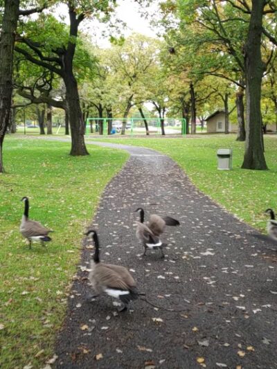 Aquatore Park - Blaine, MN