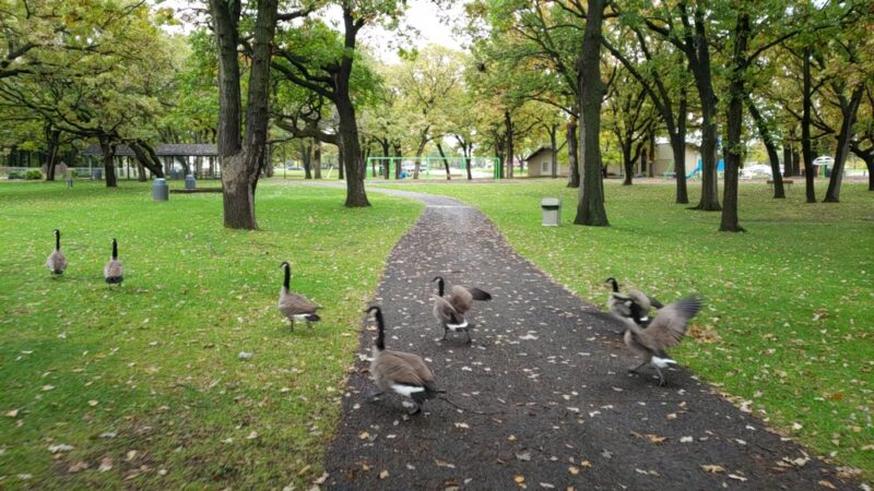 Aquatore Park - Blaine, MN