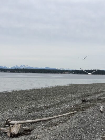 Birch Bay Park - Blaine, WA