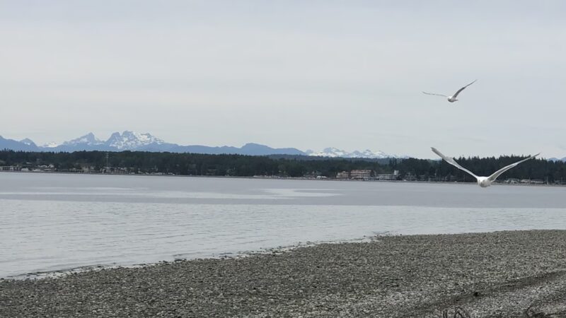 Birch Bay Park - Blaine, WA