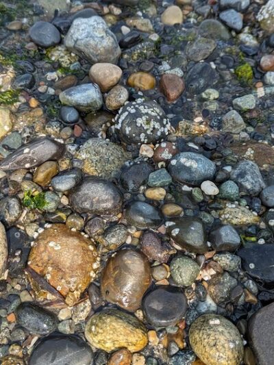 Birchbay State Park - Blaine, WA