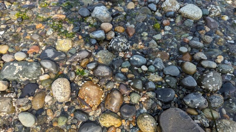 Birchbay State Park - Blaine, WA