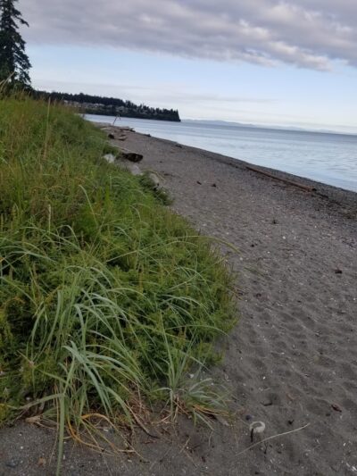 Birchbay State Park - Blaine, WA