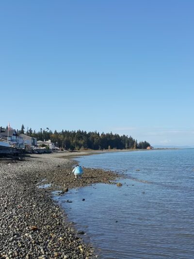 Lighthouse by the Bay RV Resort - Blaine, WA