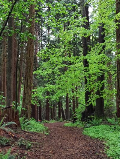 Lincoln Park - Blaine, WA