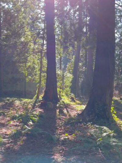 Lincoln Park - Blaine, WA