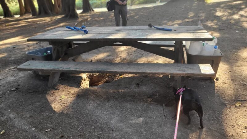 Skallman Dog Park - Blaine, WA