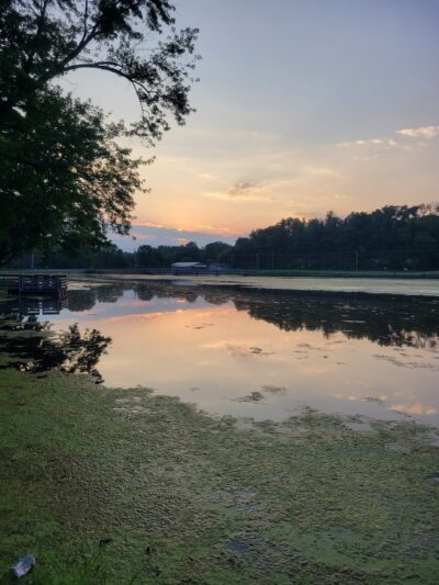 Blair Deer Park. - Blair, WI