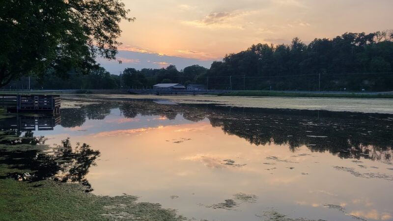 Blair Deer Park. - Blair, WI