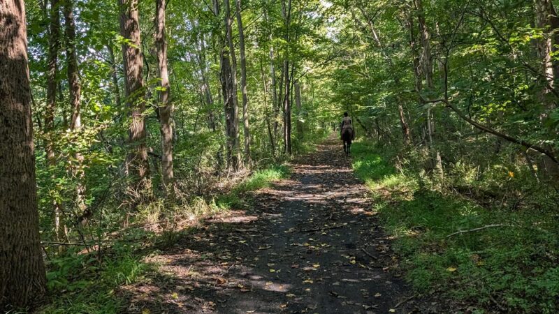 PAULINSKILL VALLEY TRAIL ACCESS - Blairstown, NJ