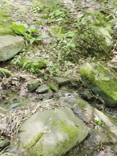 Pine Ridge Park - Blairsville, PA