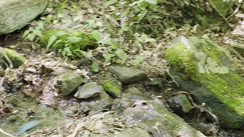 Pine Ridge Park - Blairsville, PA