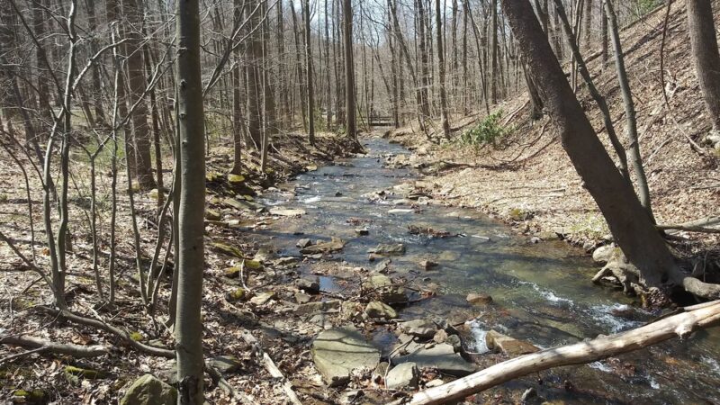 Pine Ridge Park - Blairsville, PA