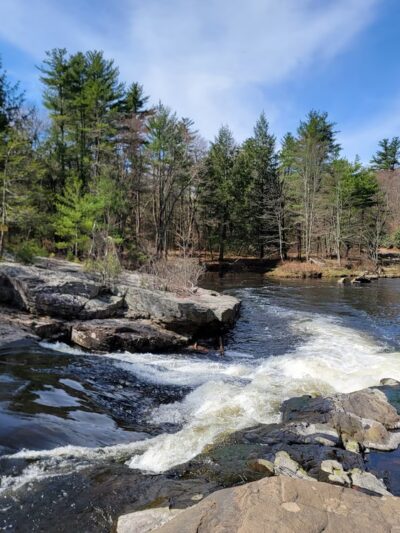 Austin T. Blakeslee Natural Area - Blakeslee, PA