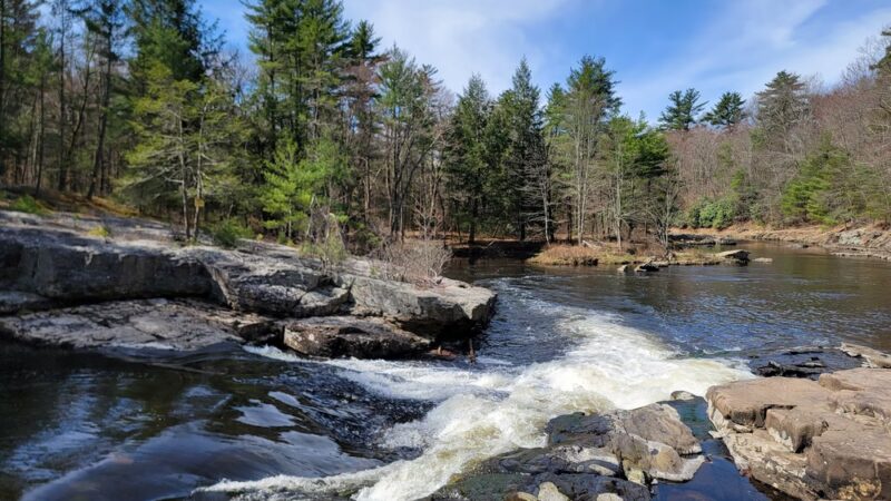Austin T. Blakeslee Natural Area - Blakeslee, PA