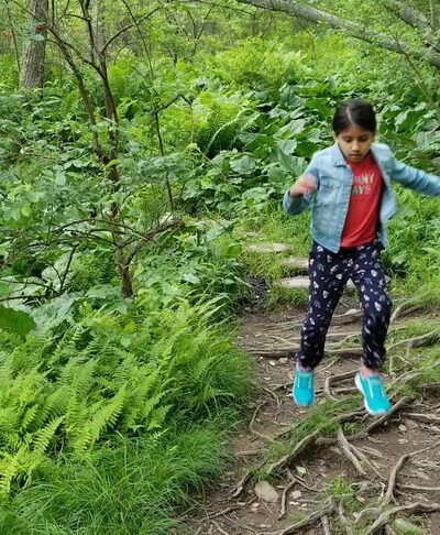 Austin T. Blakeslee Natural Area - Blakeslee, PA