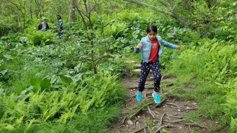 Austin T. Blakeslee Natural Area - Blakeslee, PA