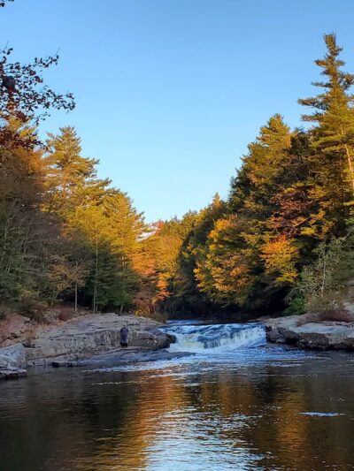 Austin T. Blakeslee Natural Area - Blakeslee, PA