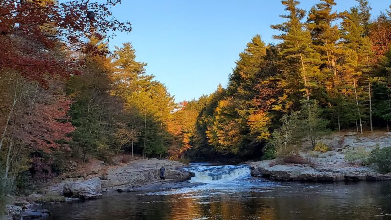 Austin T. Blakeslee Natural Area - Blakeslee, PA
