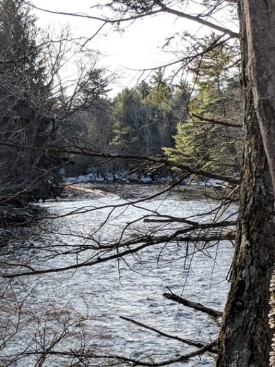 Austin T. Blakeslee Natural Area - Blakeslee, PA