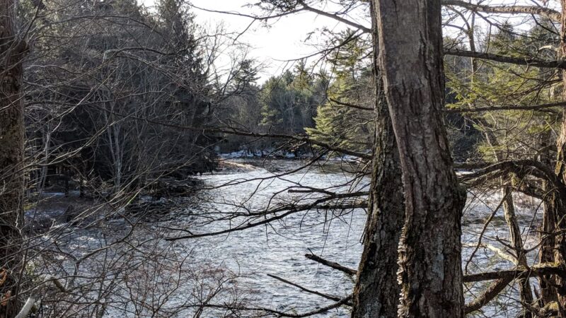 Austin T. Blakeslee Natural Area - Blakeslee, PA