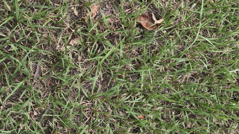 Heffelfinger Memorial Park - Blessing, TX