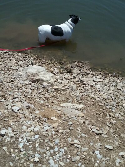 Lake Fisher Park - Bloomfield, IA