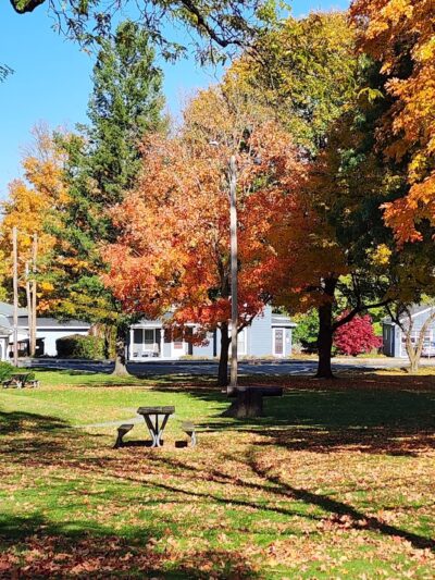 Elton Park - Bloomfield, NY