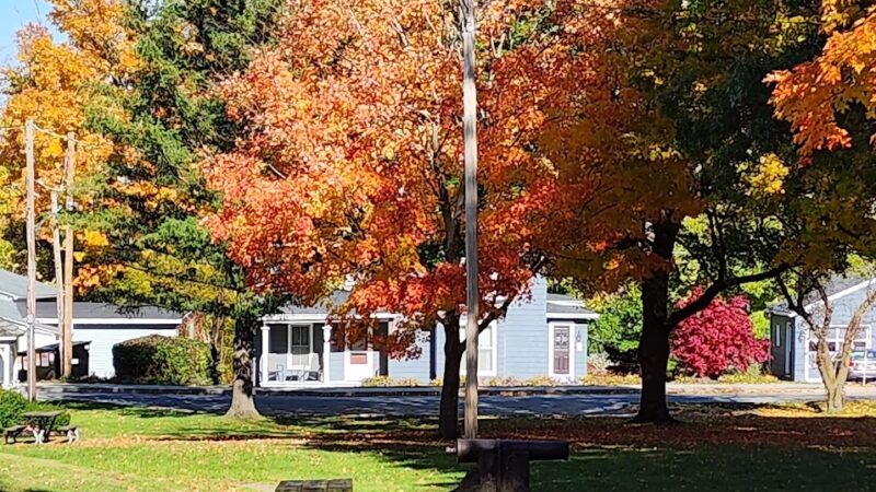 Elton Park - Bloomfield, NY