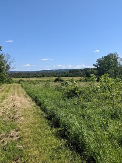 Honeoye Creek Wildlife Management Area - Bloomfield, NY