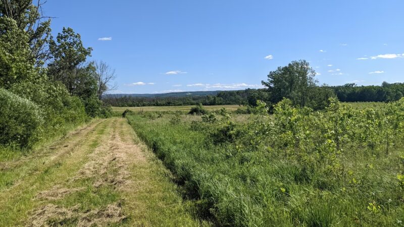 Honeoye Creek Wildlife Management Area - Bloomfield, NY