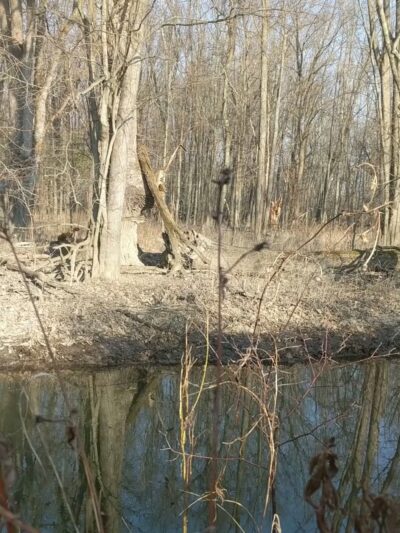 Honeoye Creek Wildlife Management Area - Bloomfield, NY