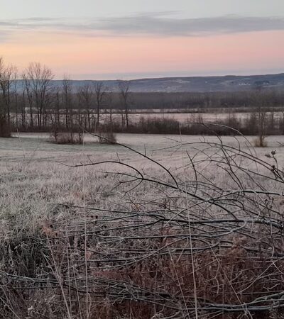 Honeoye Creek Wildlife Management Area - Bloomfield, NY