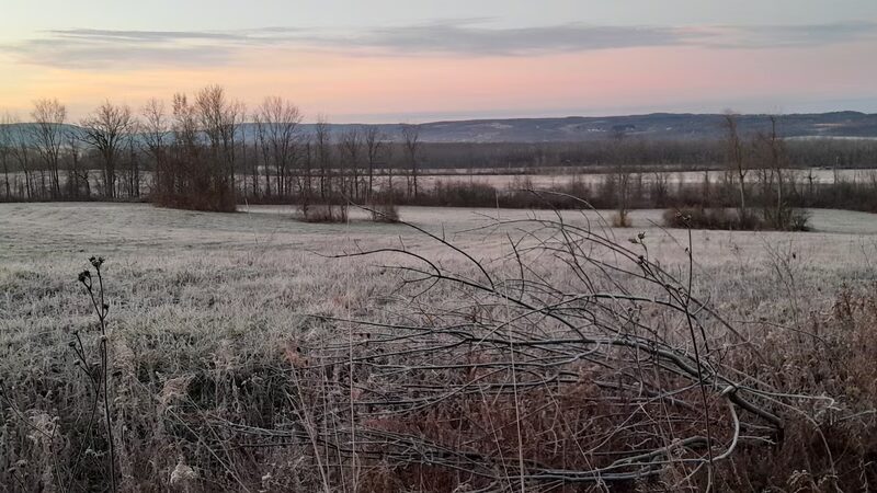 Honeoye Creek Wildlife Management Area - Bloomfield, NY