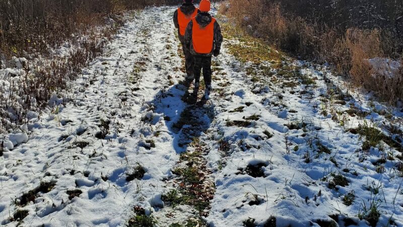 Honeoye Creek Wildlife Management Area - Bloomfield, NY
