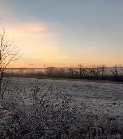 Honeoye Creek Wildlife Management Area - Bloomfield, NY