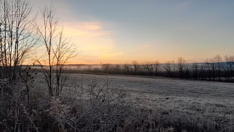 Honeoye Creek Wildlife Management Area - Bloomfield, NY