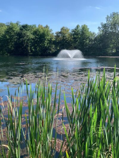 Bogue Pond Park - Bloomingdale, NJ