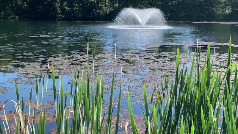 Bogue Pond Park - Bloomingdale, NJ