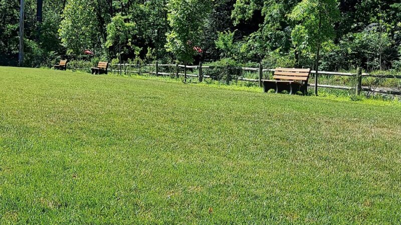 Sloan Park - Bloomingdale, NJ