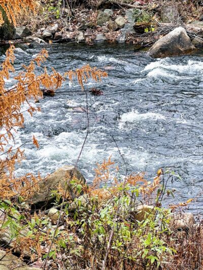 Sloan Park - Bloomingdale, NJ