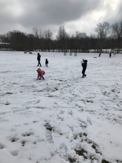Ewing Park III - Bloomington, IL