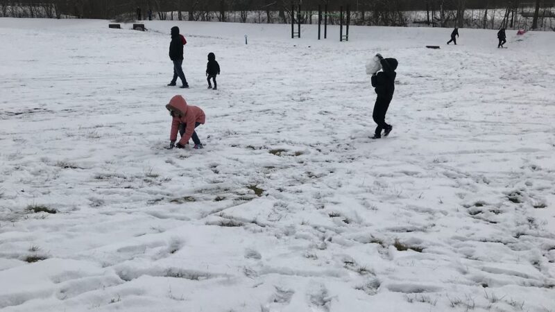 Ewing Park III - Bloomington, IL