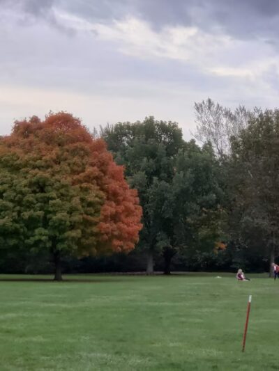 Ewing Park ll - Bloomington, IL