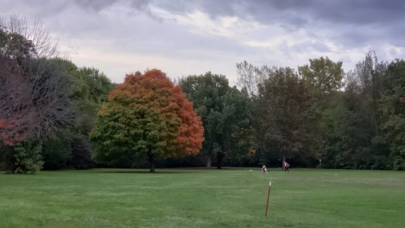Ewing Park ll - Bloomington, IL
