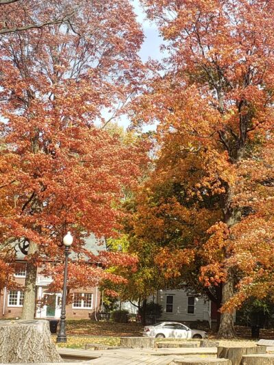 Franklin Park - Bloomington, IL