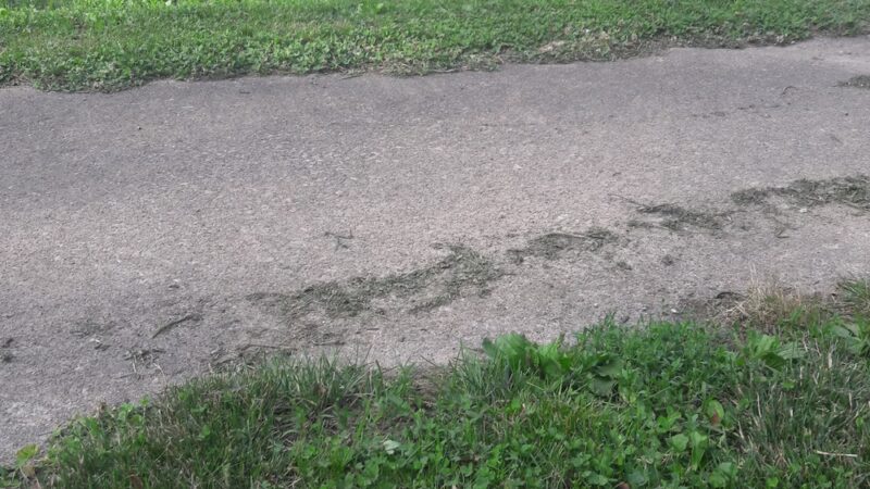 Friendship Park - Bloomington, IL