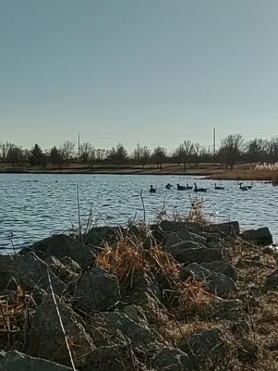 White Oak Park - Bloomington, IL