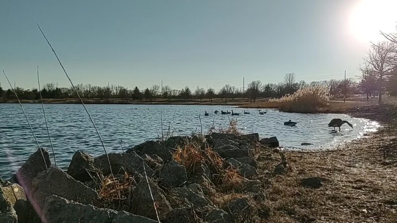 White Oak Park - Bloomington, IL